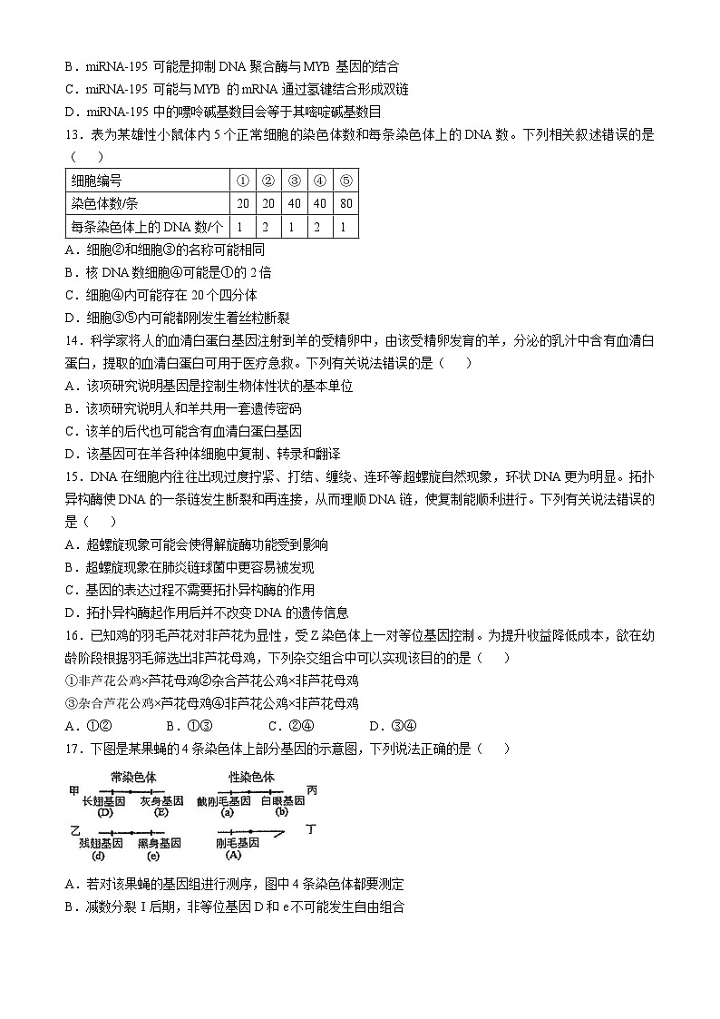 广东省五校联考2024-2025学年高一下学期5月月考生物试题第3页