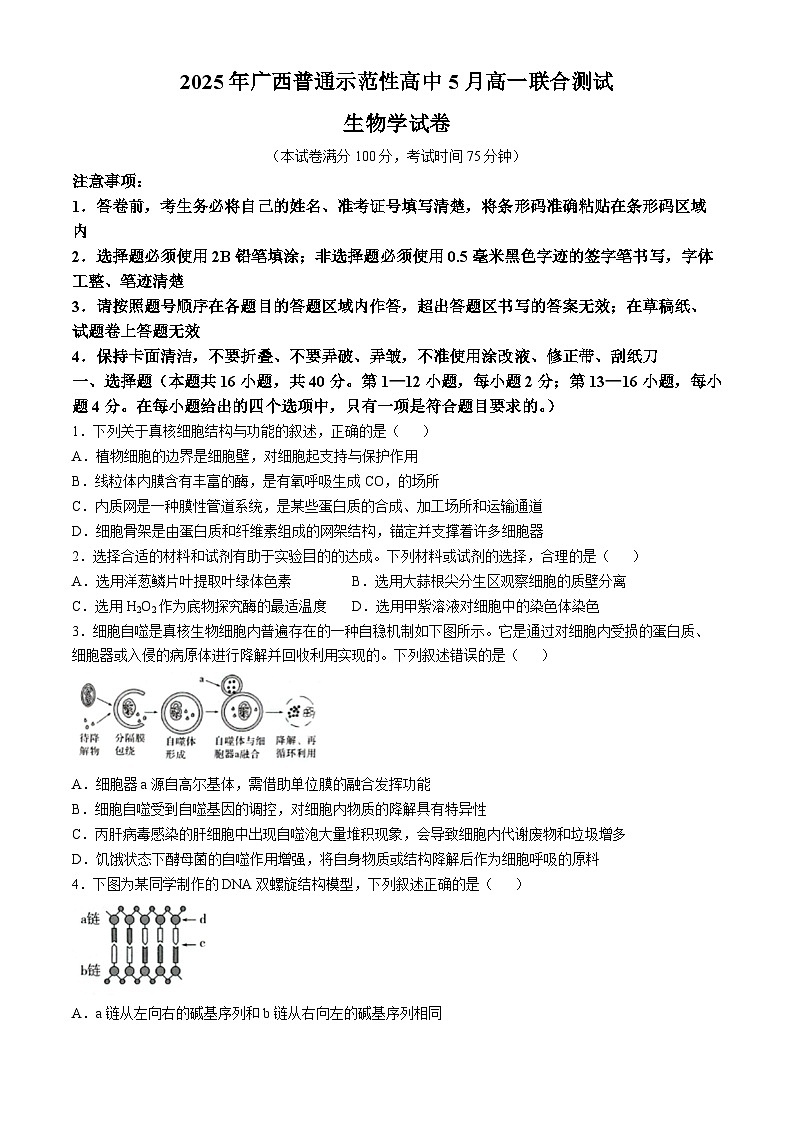 广西普通示范性高中2024-2025学年高一下学期5月联合测试生物试题第1页