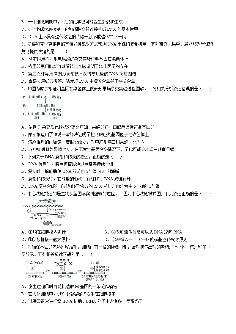 广西普通示范性高中2024-2025学年高一下学期5月联合测试生物试题第2页