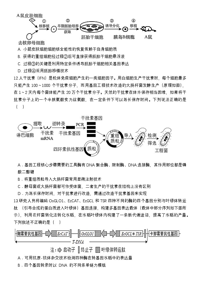 河北省保定市部分重点高中2024-2025学年高二下学期期中生物试题第3页