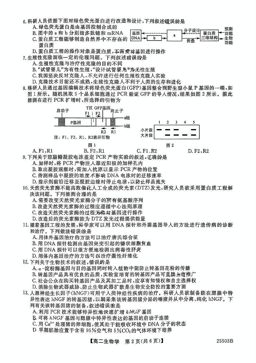 河北省衡水市桃城区衡水市第二中学2024-2025学年高二下学期5月月考生物试题第2页