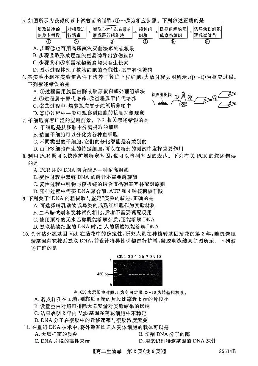 河北省邯郸市部分学校2024-2025学年高二下学期5月第二次月考生物试题第2页