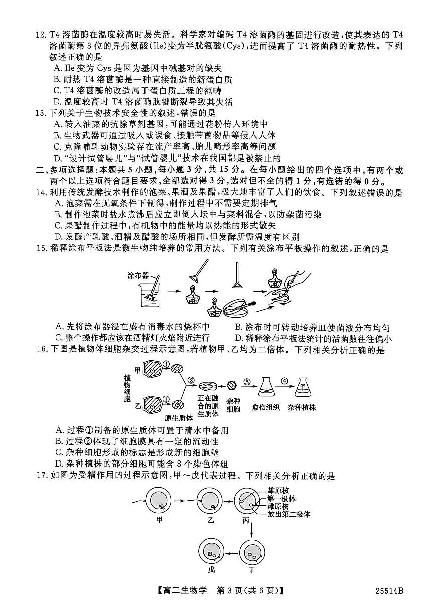 河北省邯郸市部分学校2024-2025学年高二下学期5月第二次月考生物试题第3页