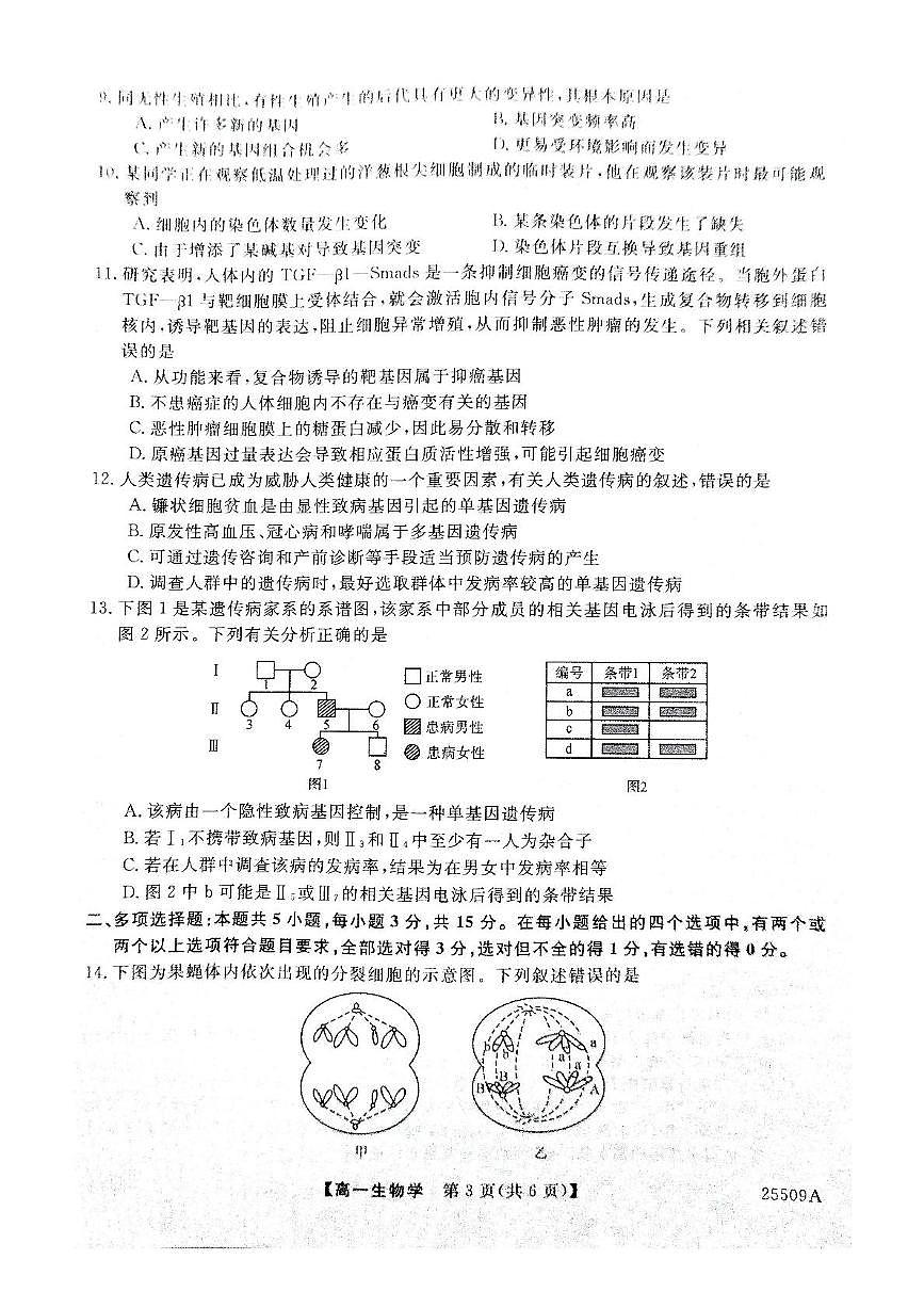 河北省邯郸市邯山区邯郸市区县多校联考2024-2025学年高一下学期5月月考生物试题第3页