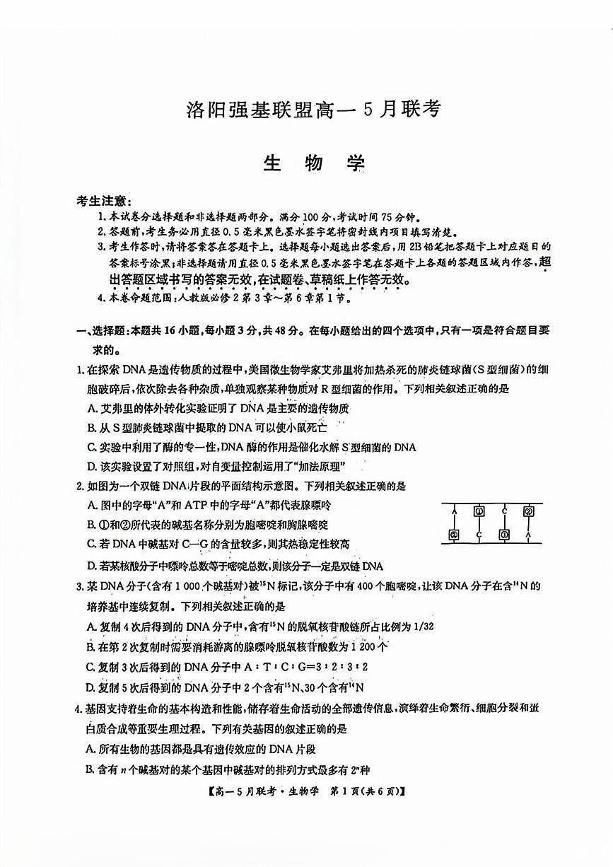 河南省洛阳市强基联盟2024-2025学年高一下学期5月月考生物试题第1页