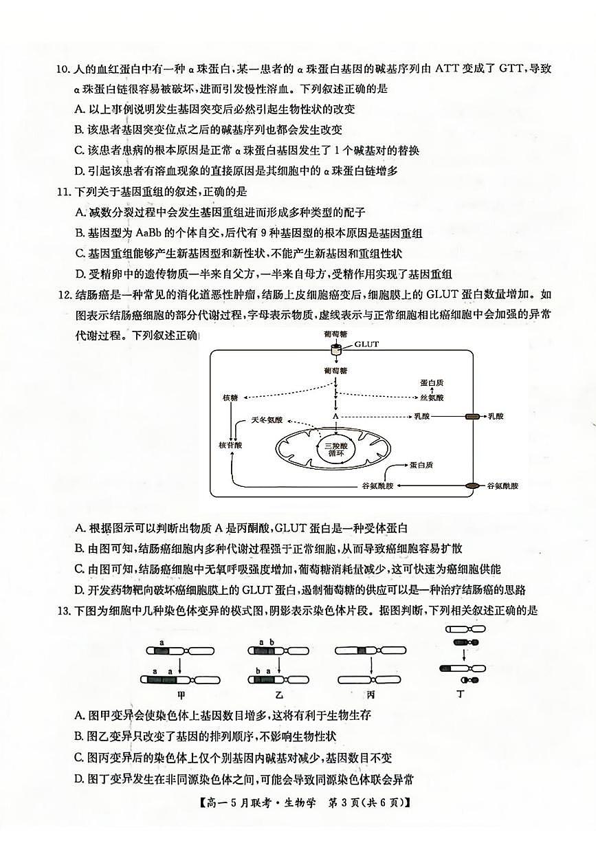 河南省洛阳市强基联盟2024-2025学年高一下学期5月月考生物试题第3页