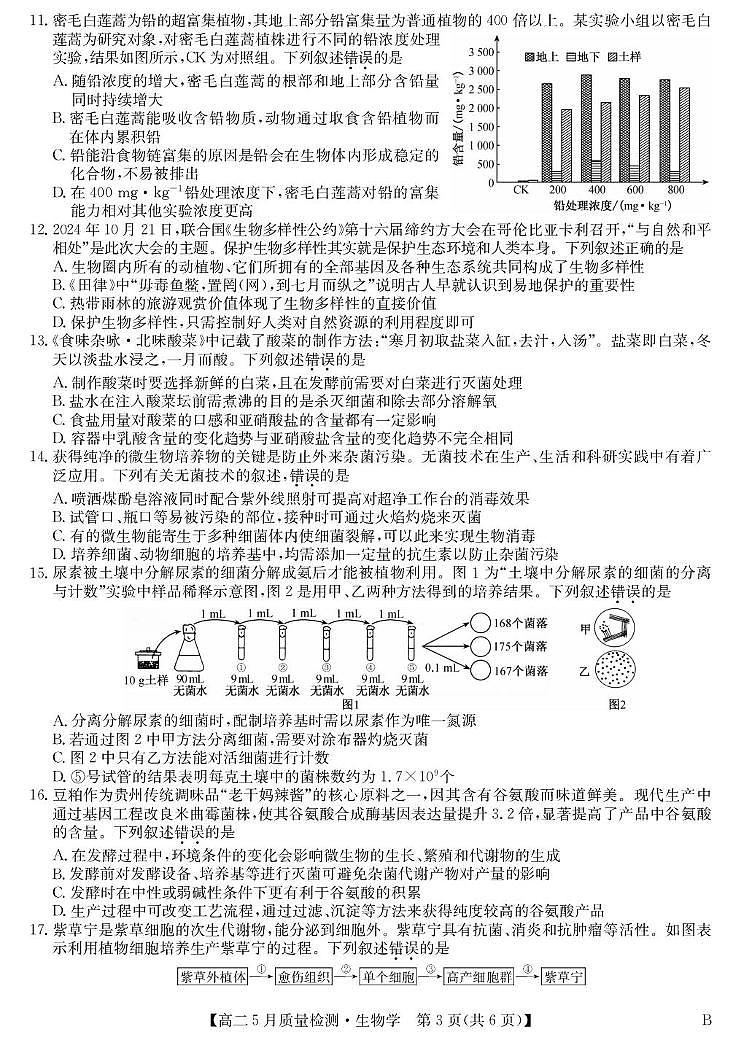 河南省九师联盟2024-2025学年高二下学期5月联考生物试卷B卷第3页
