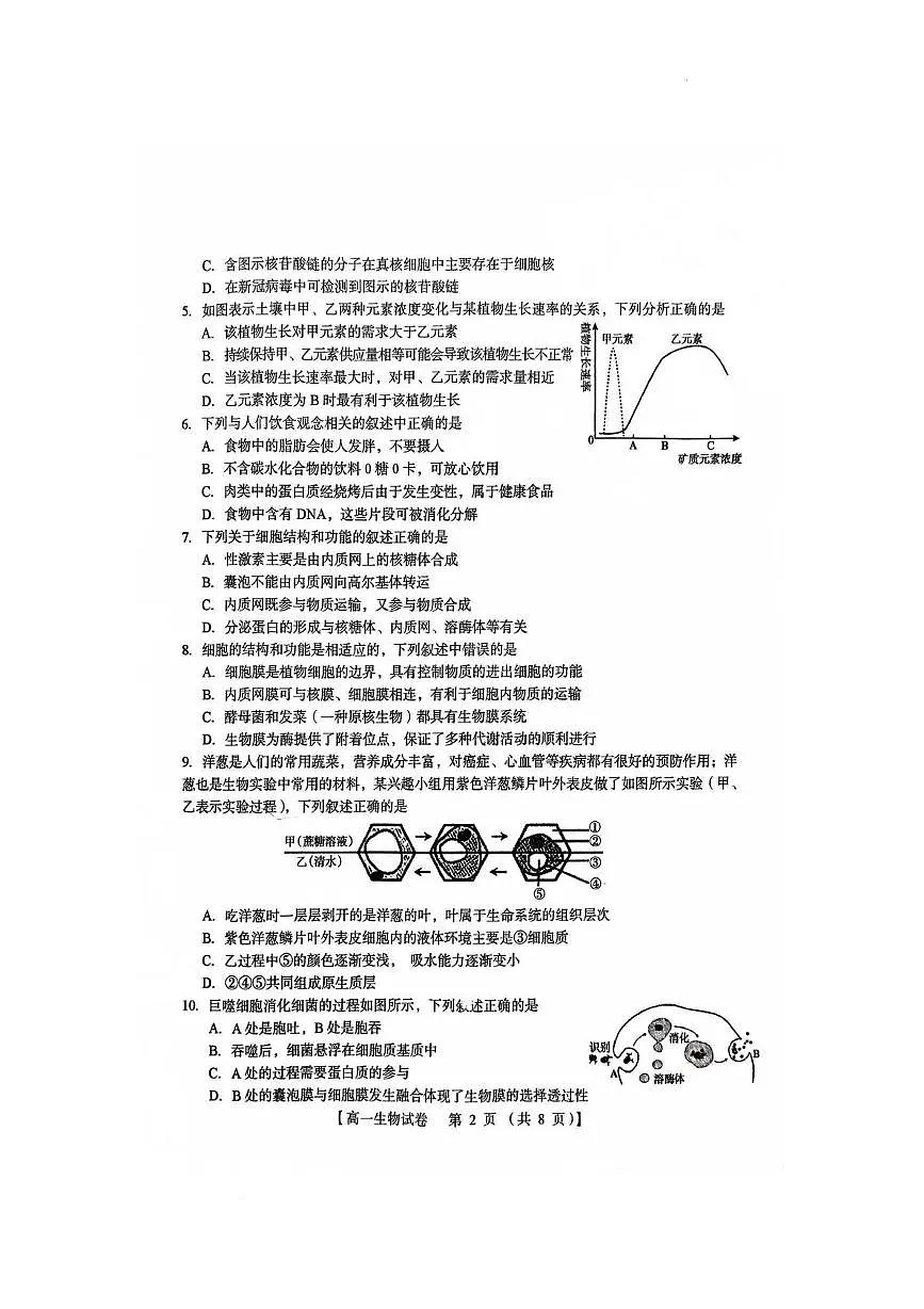 河南省三门峡市2024-2025学年高一上学期期末调研考试生物试题第2页