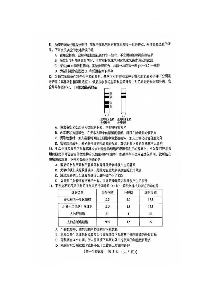 河南省三门峡市2024-2025学年高一上学期期末调研考试生物试题第3页