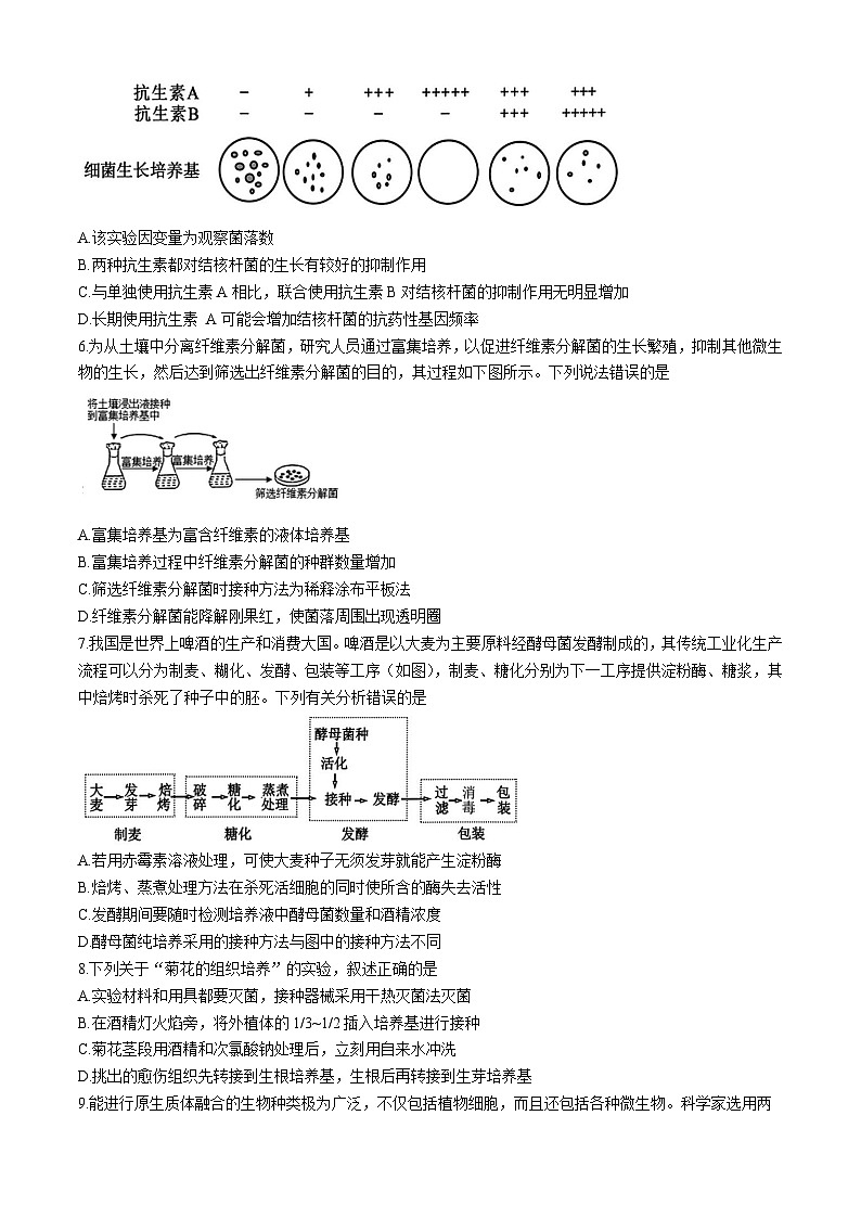 黑龙江省哈尔滨市第九中学校2024-2025学年高二下学期期中生物试题第2页