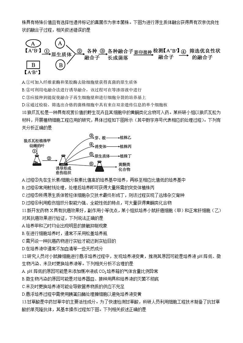 黑龙江省哈尔滨市第九中学校2024-2025学年高二下学期期中生物试题第3页