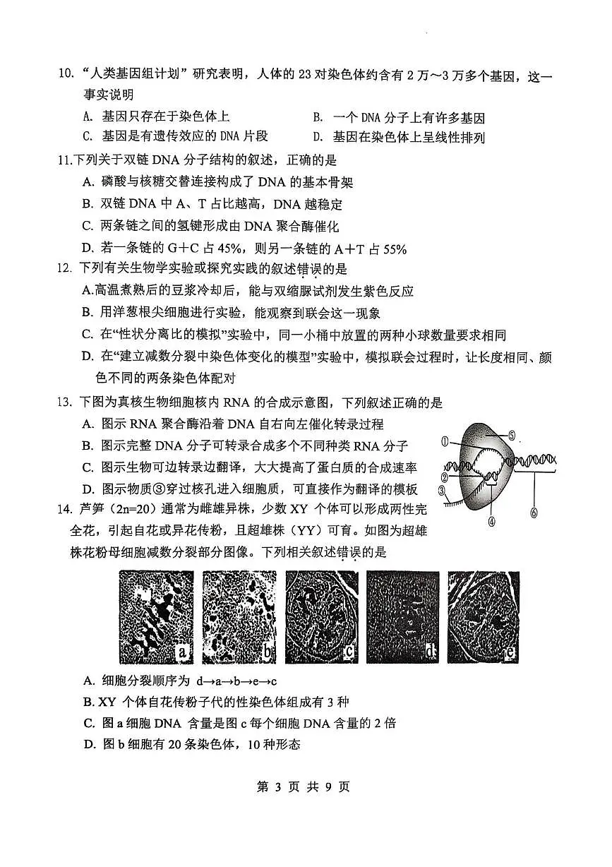 江苏省徐州市铜山区2024-2025学年高一下学期4月期中考试 生物 PDF版含答案第3页