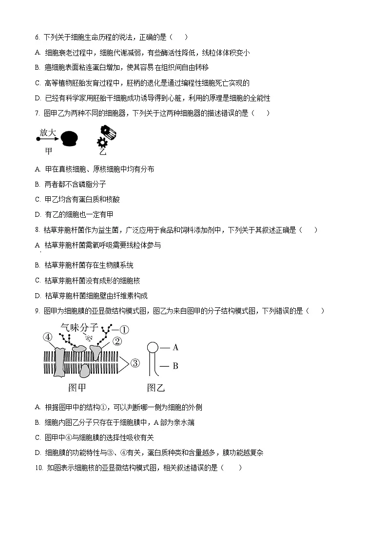浙江省环大罗山联盟2024-2025学年高一下学期4月期中考试生物试题（原卷版）第2页