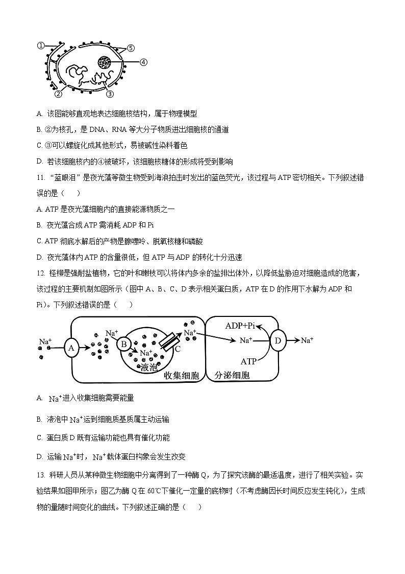 浙江省环大罗山联盟2024-2025学年高一下学期4月期中考试生物试题（原卷版）第3页