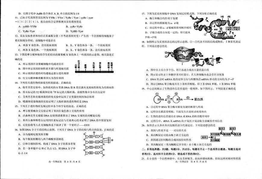 生物-江苏省宿迁市泗阳县2024-2025学年高一下学期期中考试试题和答案第2页