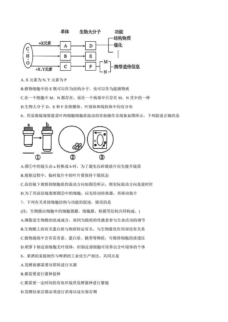 生物-广东省东莞市七校2024-2025学年高二下学期5月期中联考试题和答案第2页