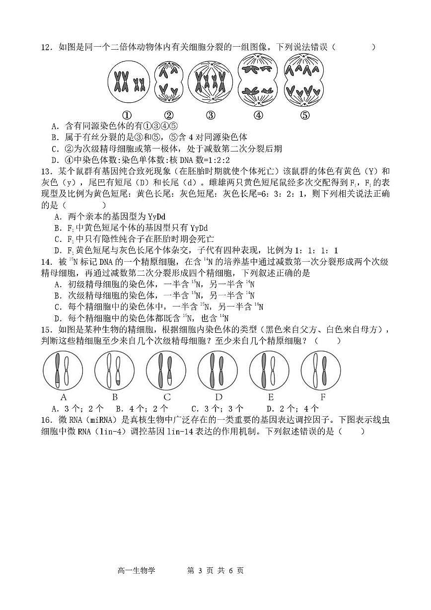 生物-广东省东莞市七校2024-2025学年高一下学期5月期中联考试题和答案第3页