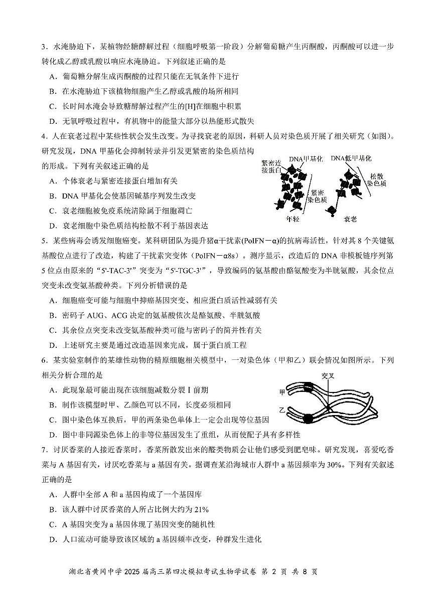 25届高三生物试卷第2页