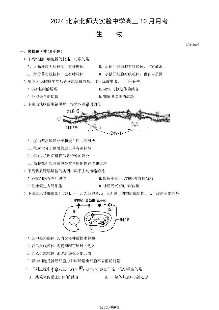 2024北京北师大实验中学高三上10月月考生物（教师版）试卷第1页