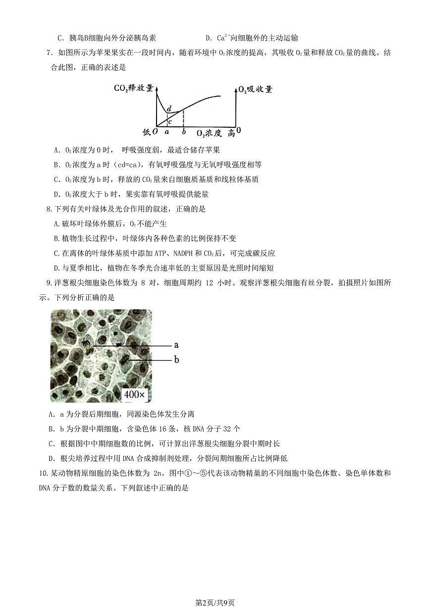 2024北京北师大实验中学高三上10月月考生物（教师版）试卷第2页