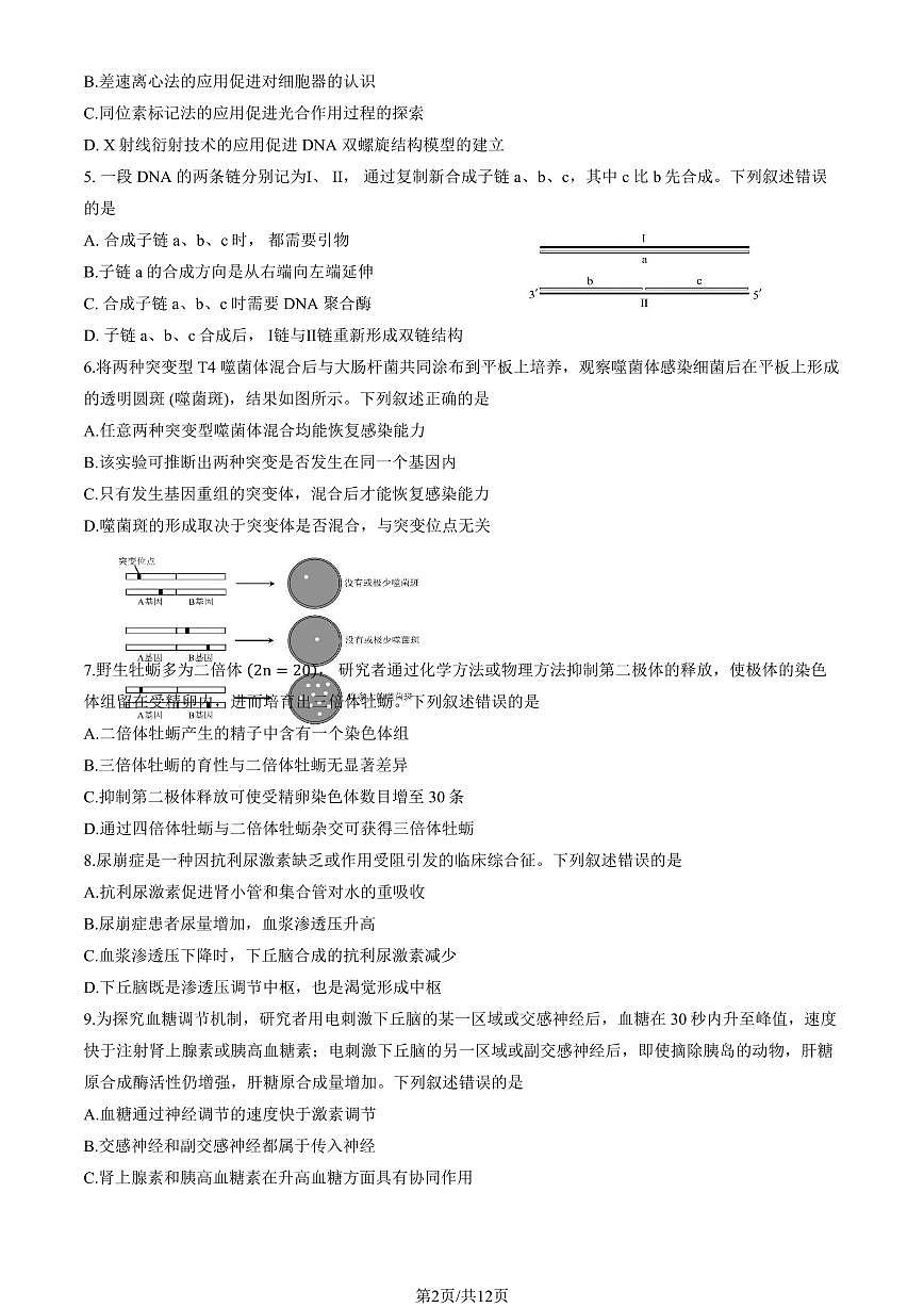 2025北京八中高三考前热身生物（教师版）试卷第2页