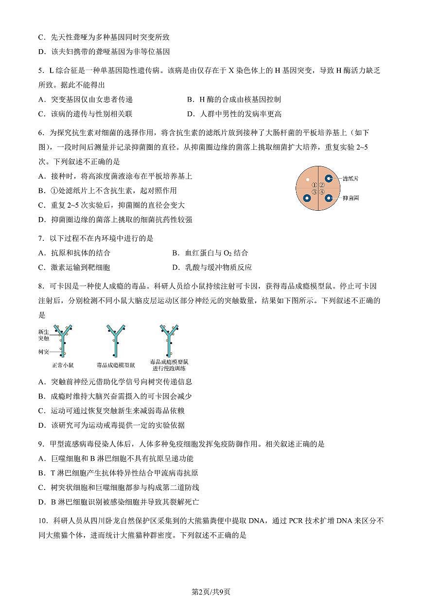 2025北京三十五中高三下4月月考生物（教师版）试卷第2页