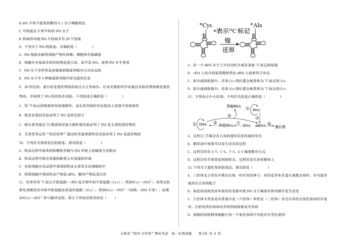 高一生物学试题第2页