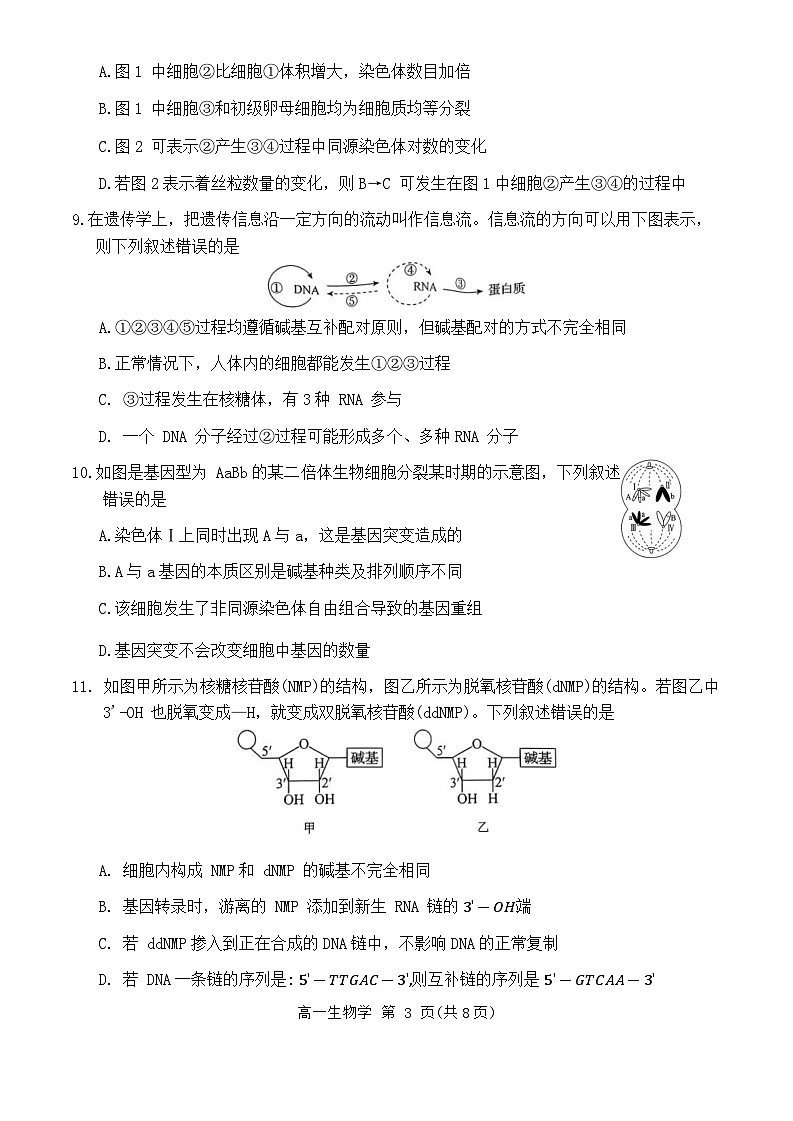 吉林省白山市2023-2024学年高一下学期7月期末生物试题第3页