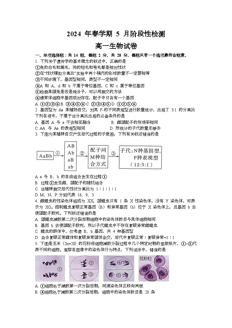江苏省江阴长泾中学2023-2024学年高一下学期5月阶段性检测生物试题第1页