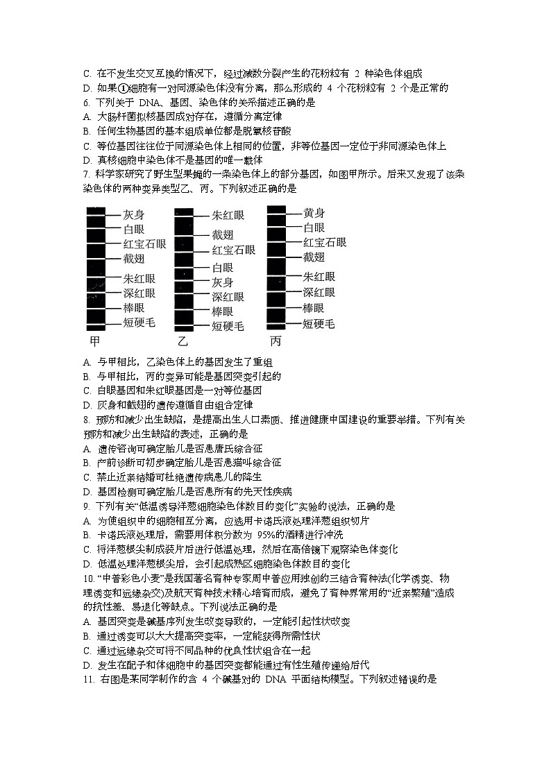 江苏省江阴长泾中学2023-2024学年高一下学期5月阶段性检测生物试题第2页