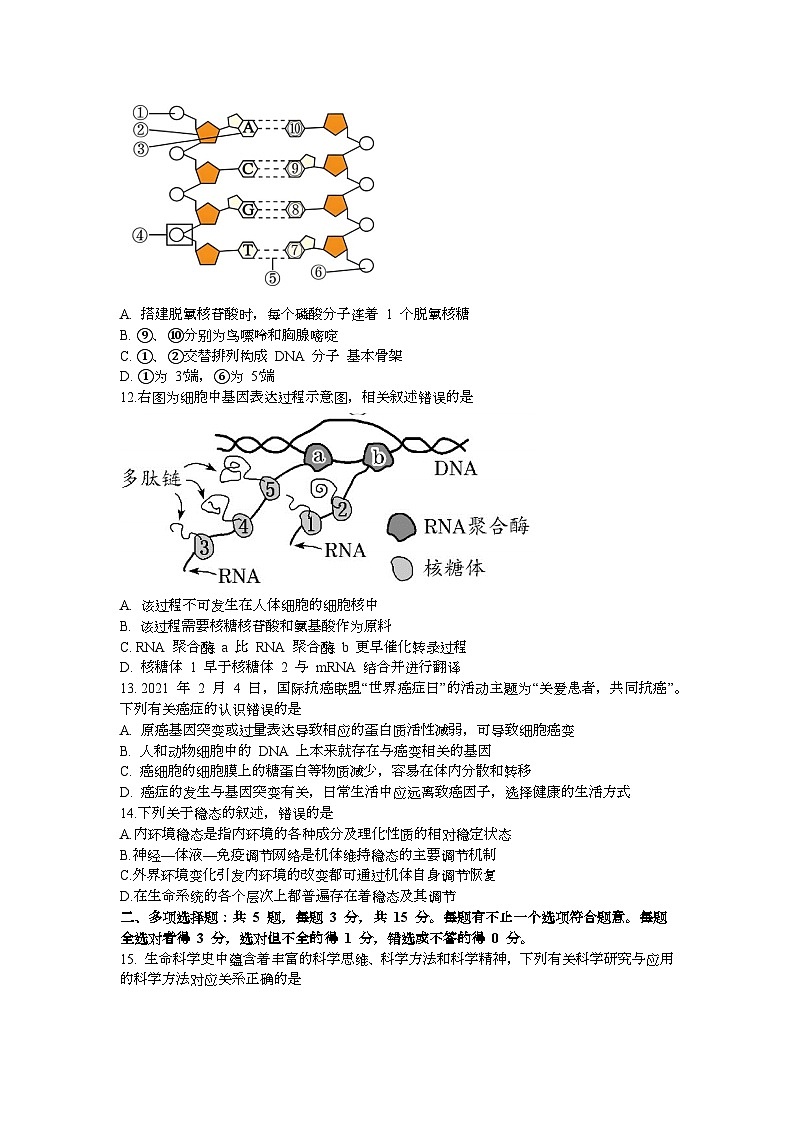 江苏省江阴长泾中学2023-2024学年高一下学期5月阶段性检测生物试题第3页