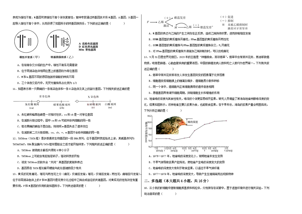 江苏省南通市2023-2024学年高一下学期期末考试考前演练生物试题第2页
