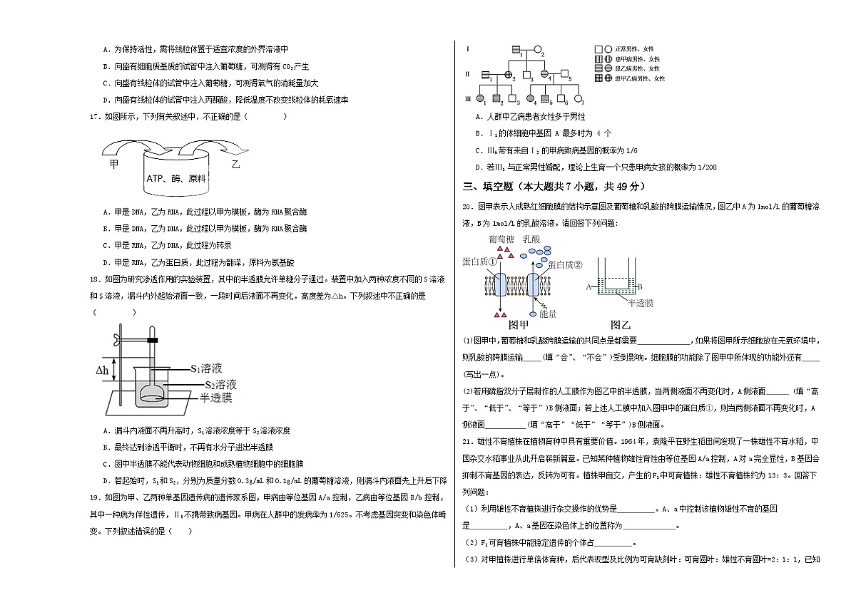 江苏省南通市2023-2024学年高一下学期期末考试考前演练生物试题第3页