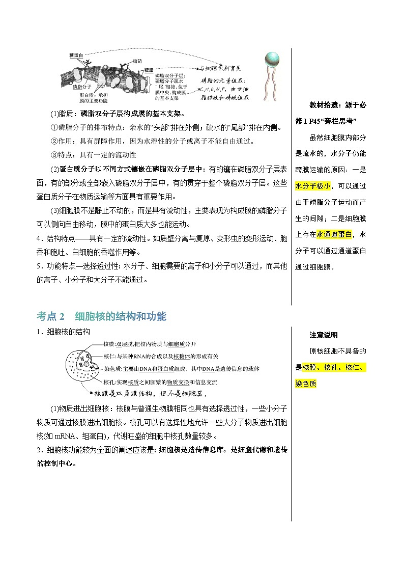 高考生物一轮复习知识清单03+细胞的基本结构（4大考点+8个易错点）第3页