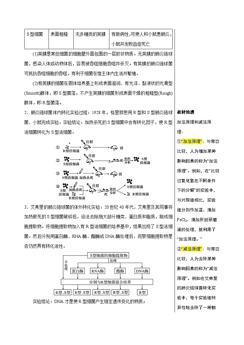高考生物一轮复习知识清单14 DNA是主要的遗传物质（3大考点 4个易错点）第2页