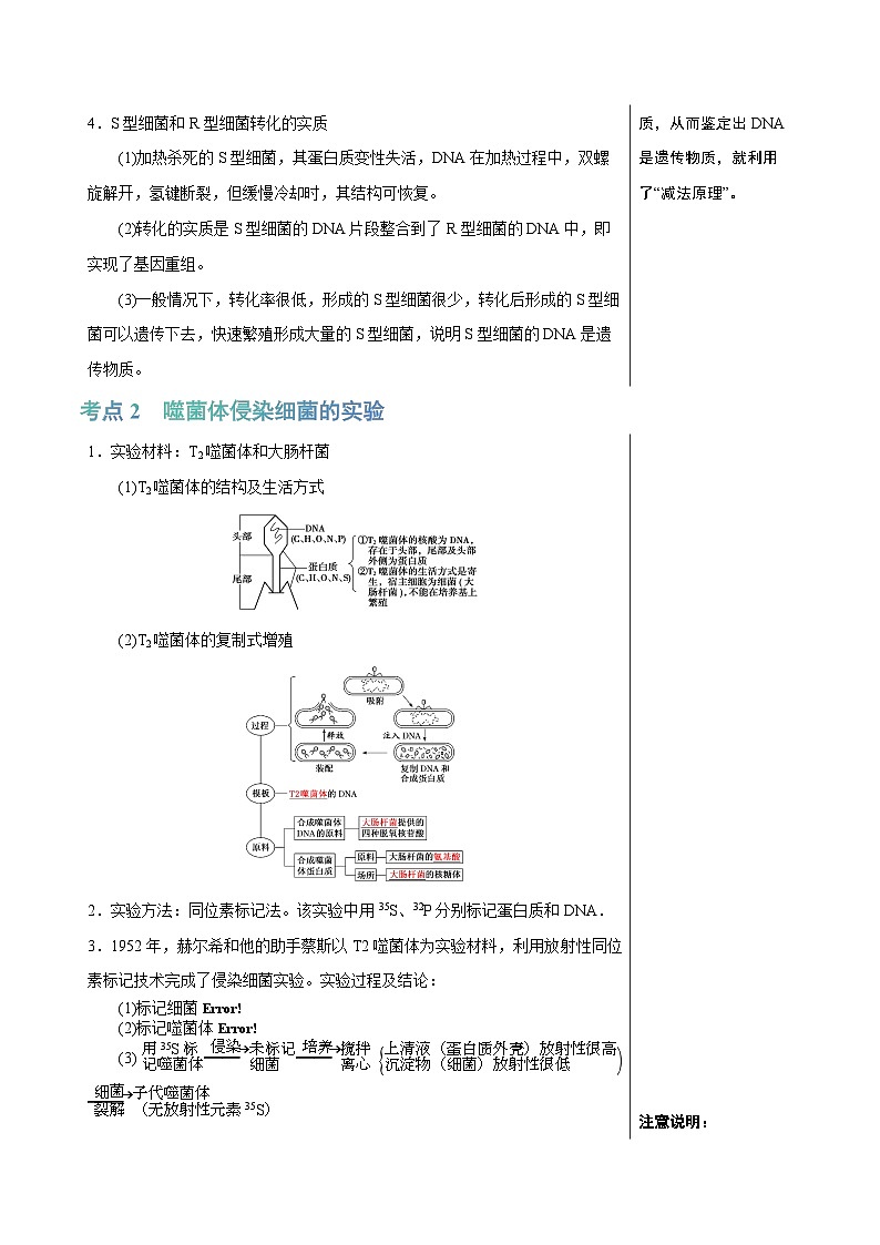 高考生物一轮复习知识清单14 DNA是主要的遗传物质（3大考点 4个易错点）第3页