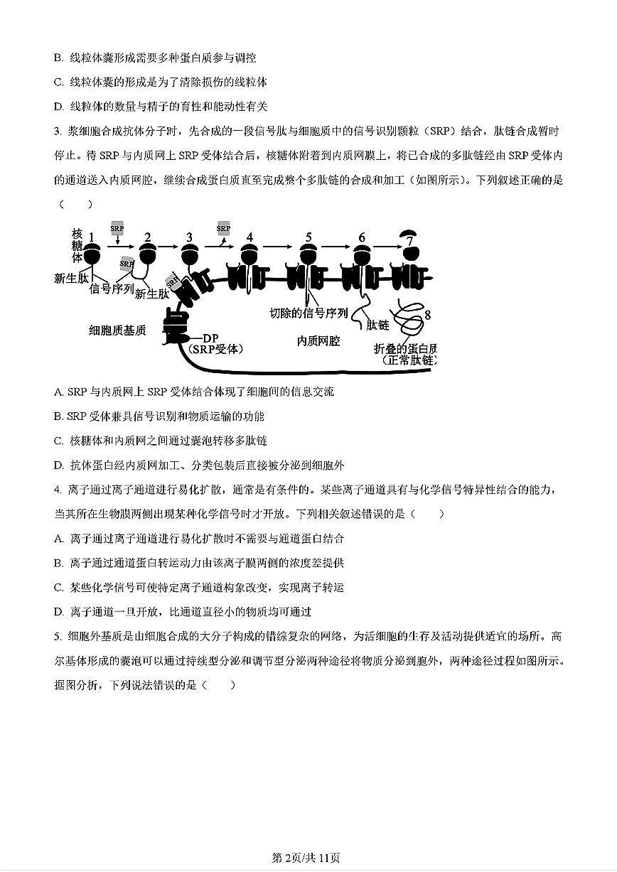 2024年济南市高一生物下学期期末考试试卷及其答案第2页