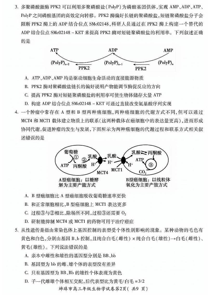 2025届安徽省蚌埠市高三下学期适应性考试生物试卷（高考模拟）第2页