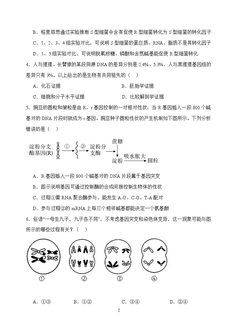 河北省武强中学2024-2025学年高一下学期期末考试生物试题（Word版附答案）第2页
