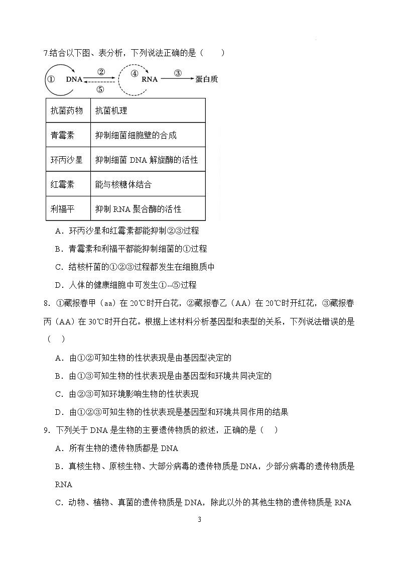 河北省武强中学2024-2025学年高一下学期期末考试生物试题（Word版附答案）第3页