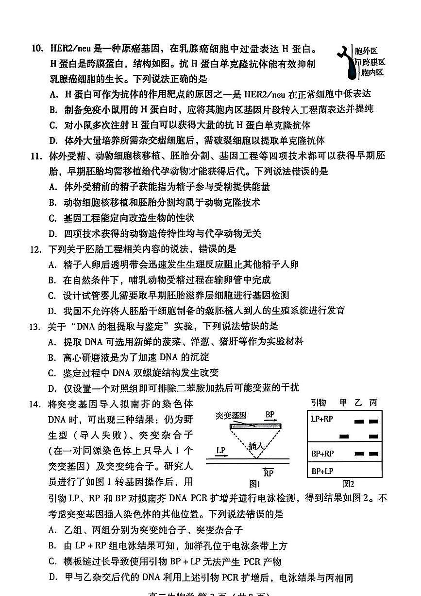 山东省潍坊市2024-2025学年高二下学期5月期中考试生物试题（PDF版附答案）第3页