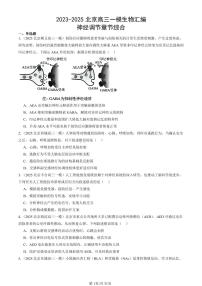 2023-2025北京高三一模[高考模拟]生物汇编：神经调节章节综合