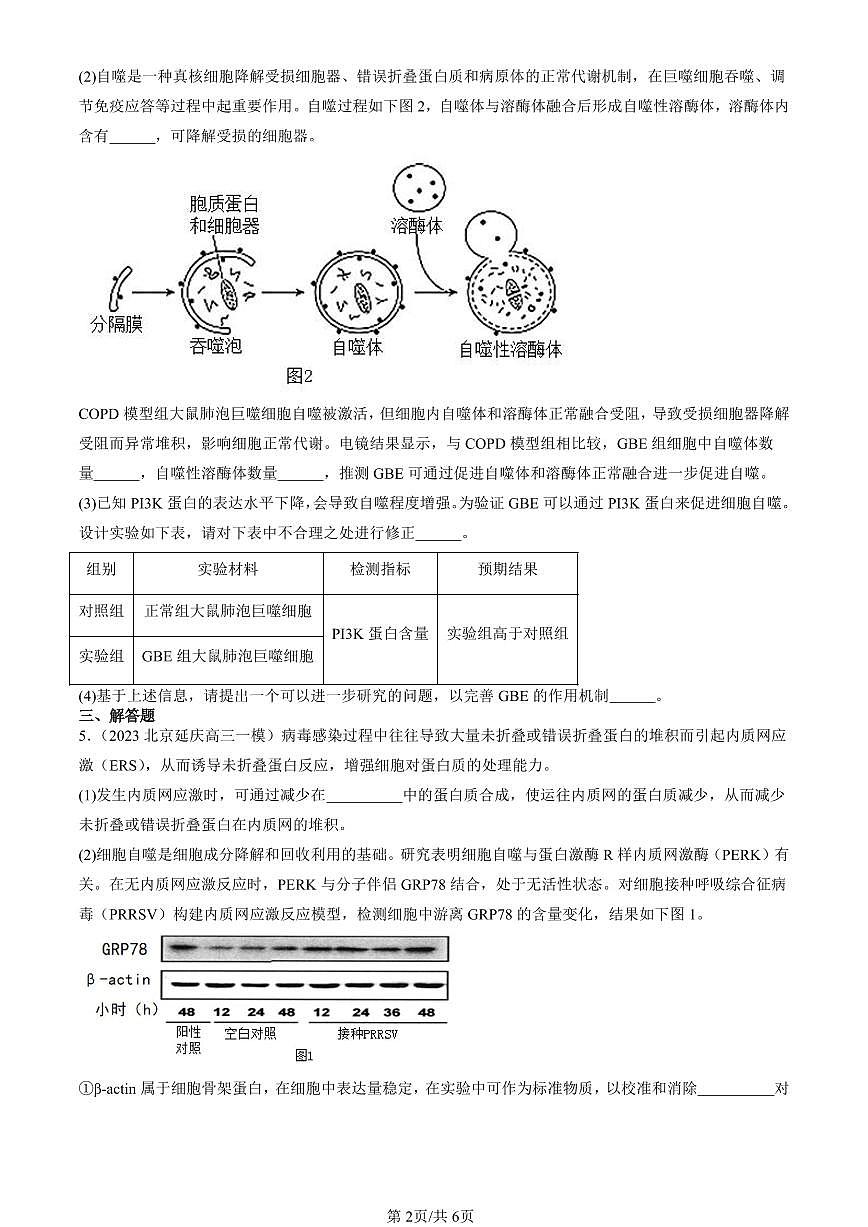 2023-2025北京高三一模[高考模拟]生物汇编：细胞的衰老和死亡第2页