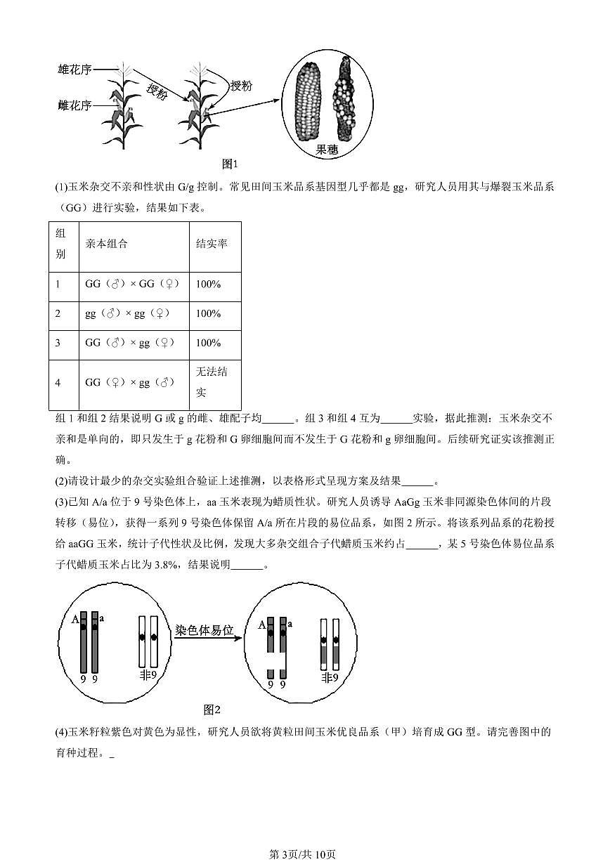 2023-2025北京高三一模[高考模拟]生物汇编：遗传因子的发现章节综合第3页