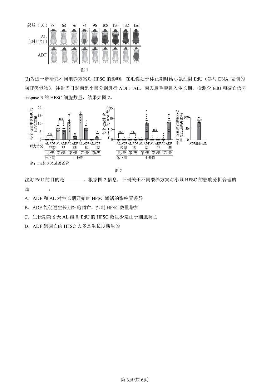 2023-2025北京高三一模[高考模拟]生物汇编：基因的本质章节综合第3页