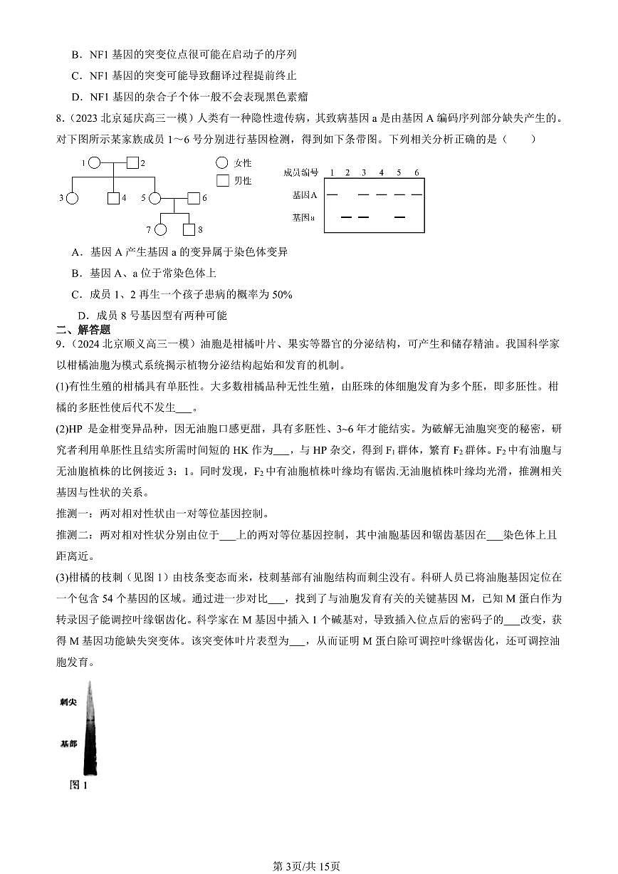 2023-2025北京高三一模[高考模拟]生物汇编：基因突变和基因重组第3页