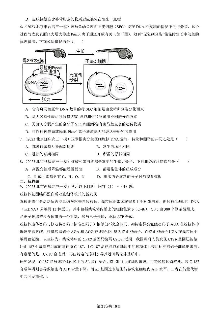 2023-2025北京高三一模[高考模拟]生物汇编：基因指导蛋白质的合成第2页