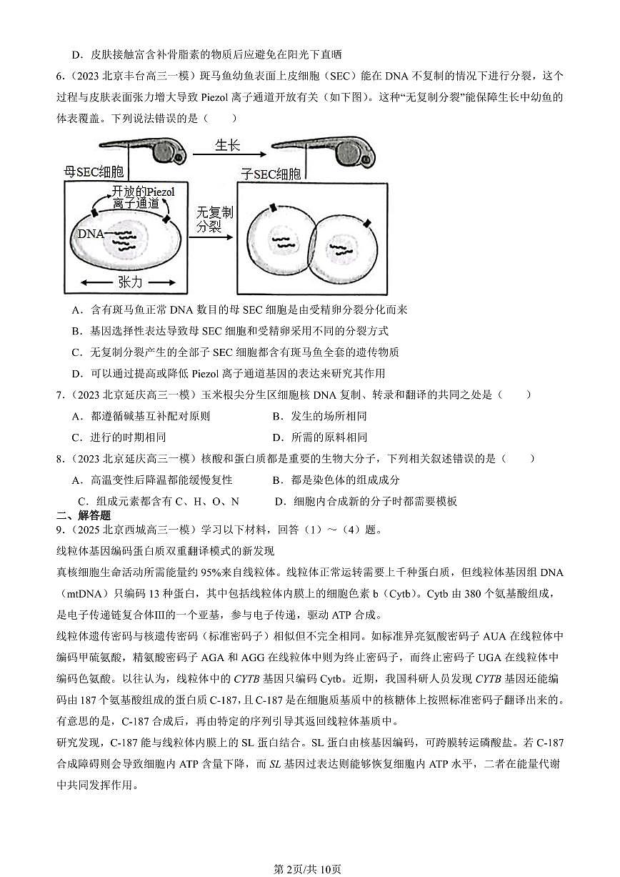 2023-2025北京高三一模[高考模拟]生物汇编：基因指导蛋白质的合成第2页