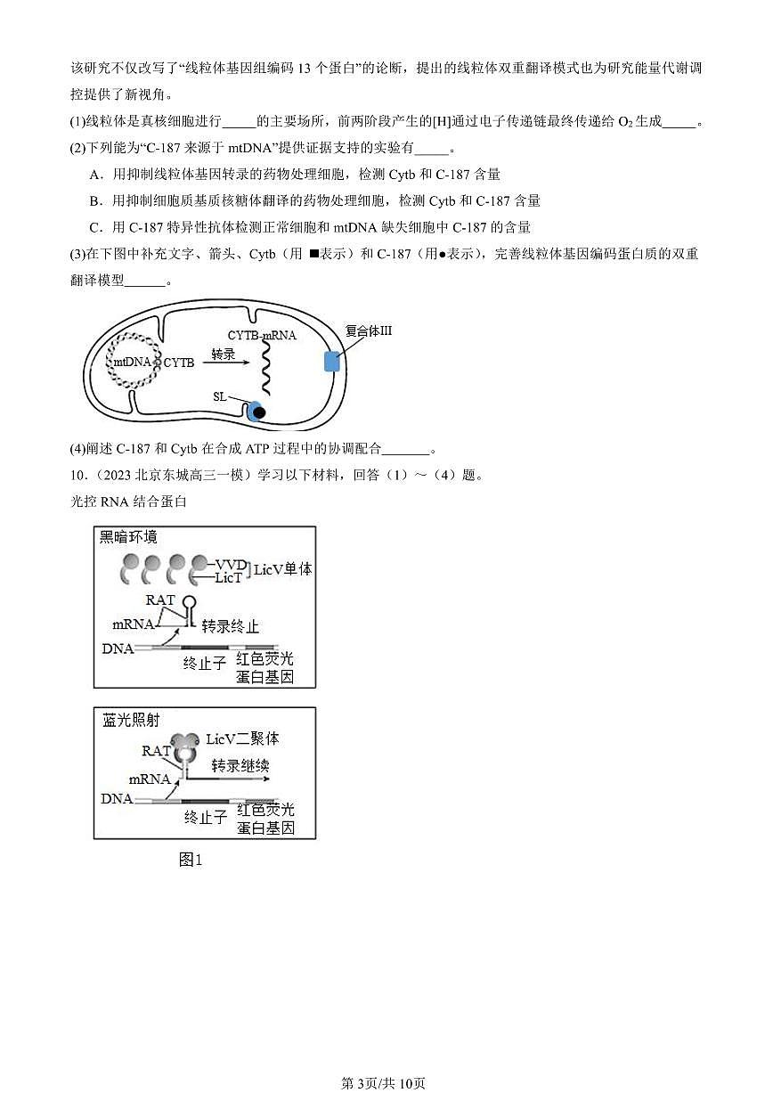 2023-2025北京高三一模[高考模拟]生物汇编：基因指导蛋白质的合成第3页