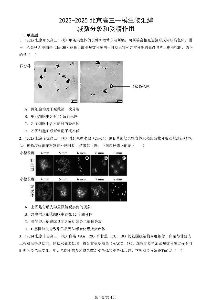 2023-2025北京高三一模[高考模拟]生物汇编：减数分裂和受精作用第1页